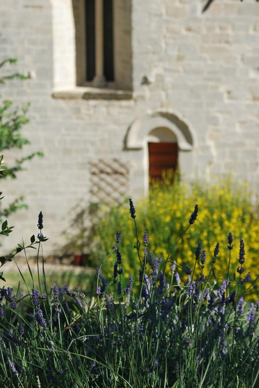 B&B San Paterniano Чинголи Екстериор снимка